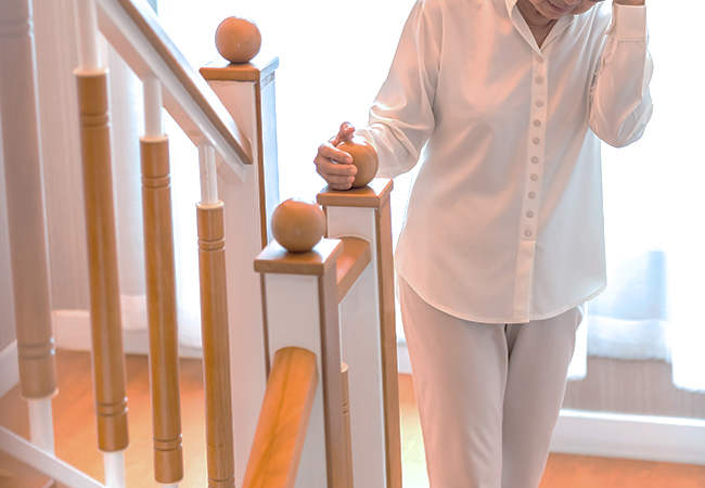 認知症(アルツハイマー・レヴィ小体型・血管性・老年期など)