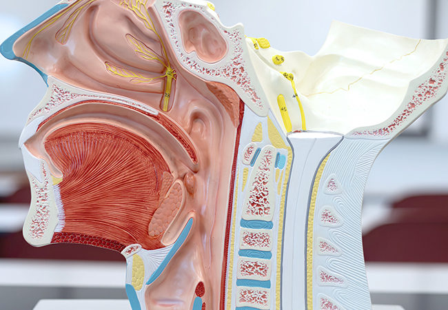 頚椎疾患・腰椎疾患